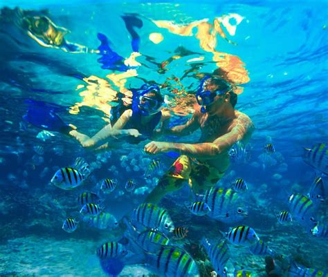 Bahamas Snorkeling Casa De Bahamas Learn More