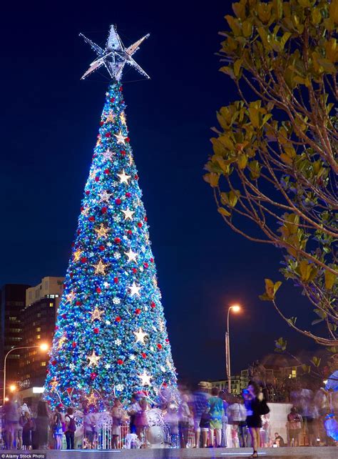 Check spelling or type a new query. MailOnline Travel reveals the best Christmas trees in the ...