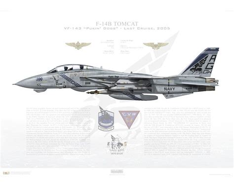 Aircraft Profile Print Of F 14b Tomcat Vf 143 Pukin Dogs Ag100