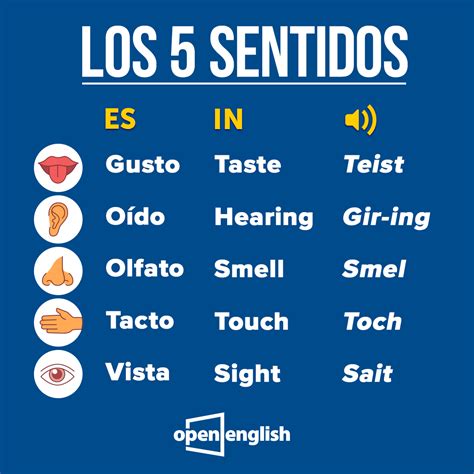 Los Cinco Sentidos En Ingles Y EspaÃ±ol Uno