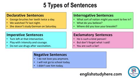 Types Of Sentences Definition And Examples English Study Here