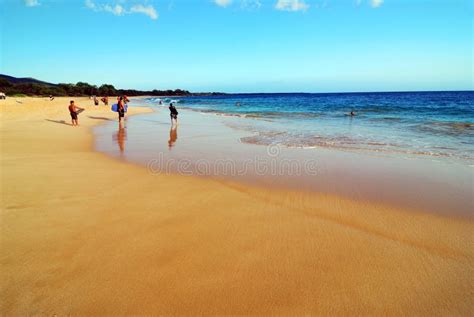 sandy beach stock image image of destination wave smooth 2739369
