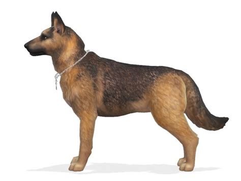 Enchanting Essence Bruce The German Shepherd Dog • Sims 4 Downloads