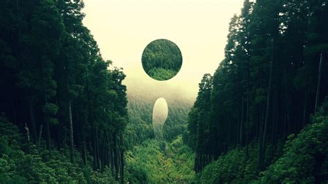 23 Forest Abstract Wallpaper Inspirasi Penting