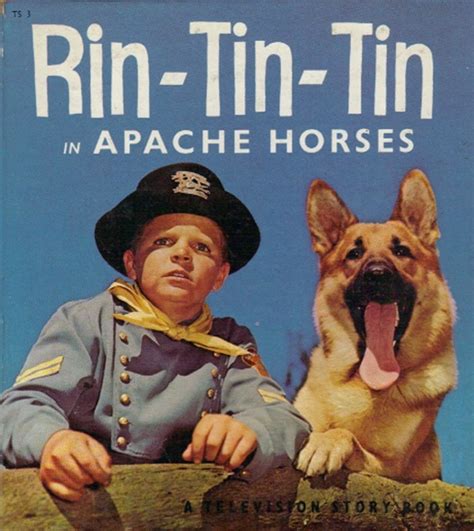 Mengingat Rin Tin Tin Film Seri Tvri 1978 Blog Ilmu Pengetahuan