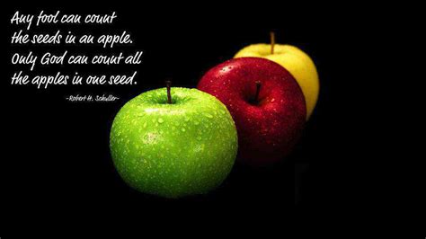 Top 30 Quotes And Sayings About Apples