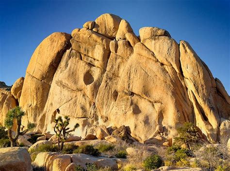 Rock Climbing In Joshua Tree A Guide To Californias Premier Climbing