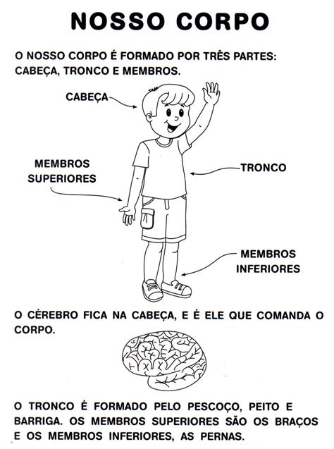 Texto Sobre As Partes Do Corpo Humano Para Educação Infantil Texto