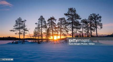 Ringerike Municipality Photos And Premium High Res Pictures Getty