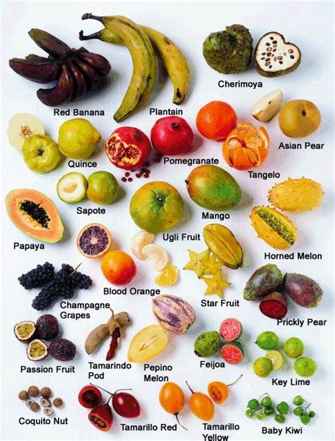 Experts have confirmed the highly unusual fruit, which tastes quite good, is a new variety mr thomas sent examples to the royal horticultural society's fruit identification service at rhs wisley. FRUIT BASICS