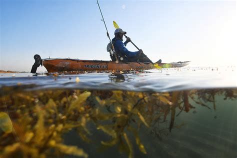 Mooch 1 works on hq fish only while mooch 2 works on nq fish only. 11 Best Ocean Fishing Kayaks For 2021 | Kayak Angler