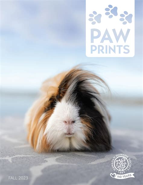 Paw Prints By Hawaiian Humane Fall By Hawaiian Humane Issuu