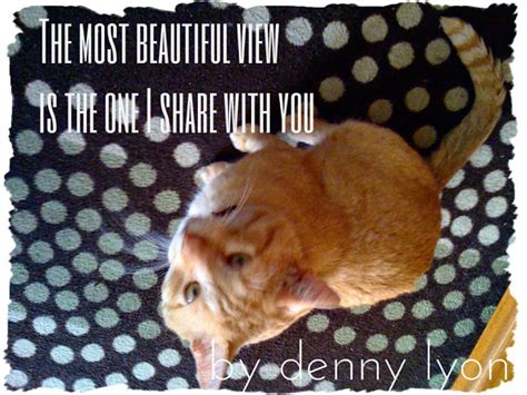 Dennys Funny Quotes Cat Philosopher Curty Teaches About Love