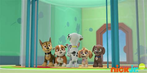 Paw Patrol Pics Paw Patrol Photo 39998610 Fanpop