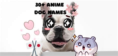 Anime Dog Names 30 Name Ideas For Your Canine Petstime