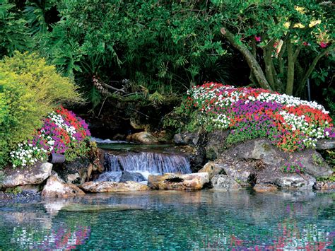 Waterfall Trees Viewes Flowers Plants Wallpapers