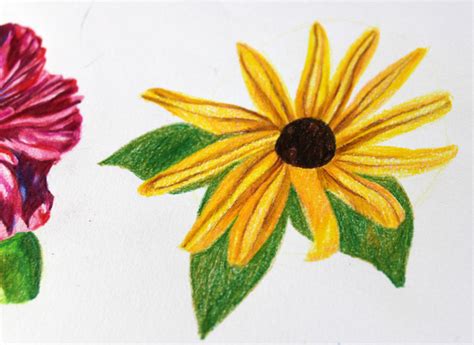 Drawing Flowers With Colored Pencils: 5 Simple Steps Start by drawing a tiny circle and then add three petals around.