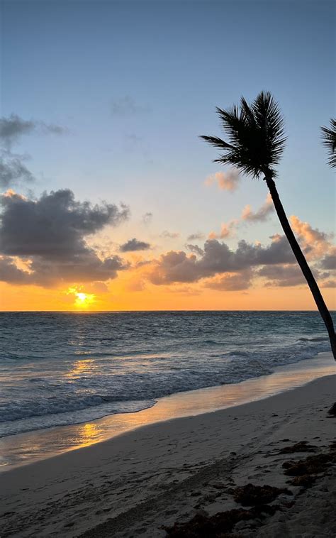 Download Wallpaper 800x1280 Beach Ocean Palm Trees Tropics Sunset