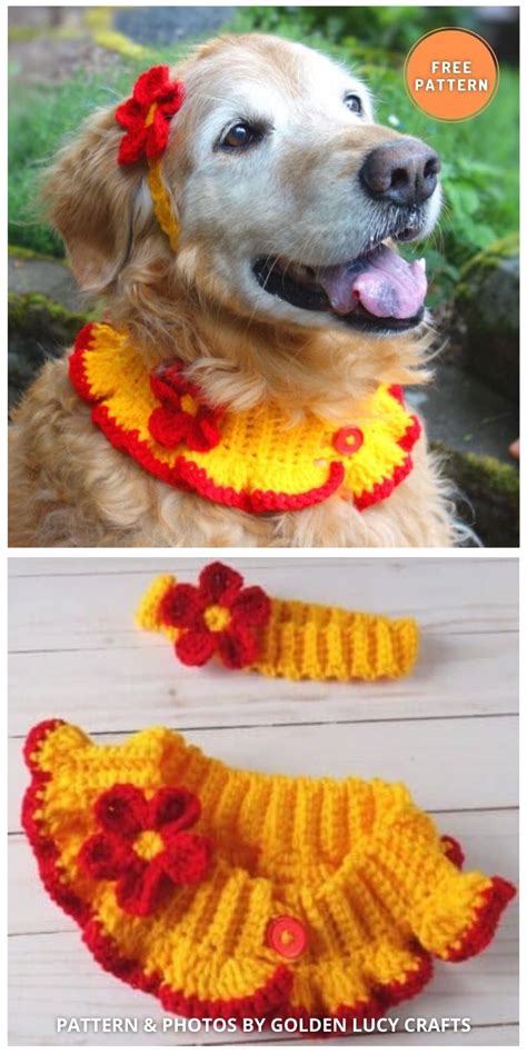6 Free Easy Pet Collar Crochet Patterns The Yarn Crew