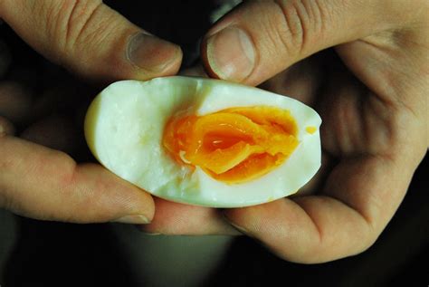 Egg In Pussy Porn Hub Sex