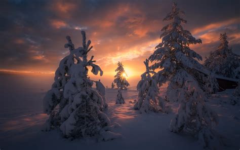 Download Wallpapers Sunset Winter Snow Evening Forest Mountains