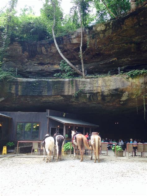 Rattlesnake Saloon In Alabama Tied Up The Horses While We Ate Lunch