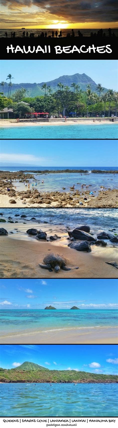 For Us Beaches In Hawaii There Are Activities Like Swimming