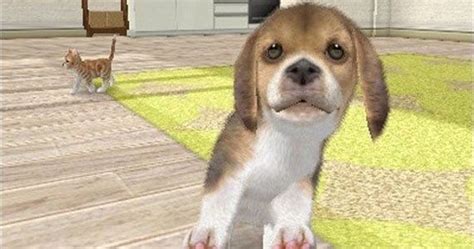 Nintendogs Cats Review