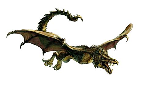 Image Wyvern Dungeons And Dragons Mainpng Dragons Fandom