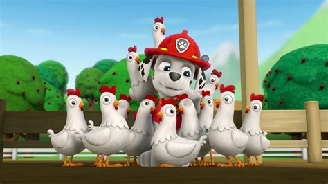 Watch Paw Patrol Season 1 Episode 7 Pups Save The Circuspup A Doodle