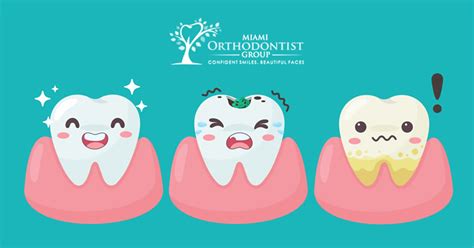7 Tips For Happy And Healthy Gums Miami Orthodontist Group