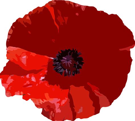 6 Free Poppy Images For Remembrance Day