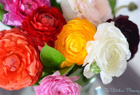 Beautiful Beautiful Fresh Flowers Images Top Collection Of Different