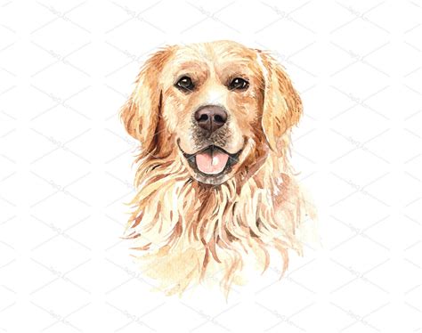 Watercolor Golden Retriever Drawing Golden Retriever Head Etsy Uk