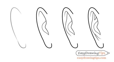 Male Ear Front View Drawing Step By Step How To Draw Ears Step By