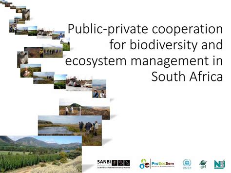 Pdf Public Private Cooperation For Biodiversity And Ecosystem