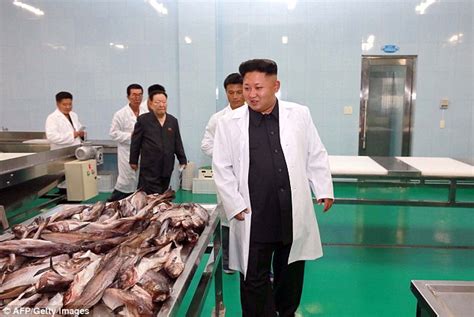 Kim Jong Un Visits A Seafood Factory After Hes Overseen Rocket Trial Daily Mail Online