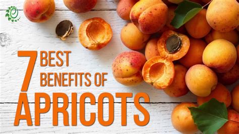 7 Best Benefits Of Apricots Organic Facts Youtube