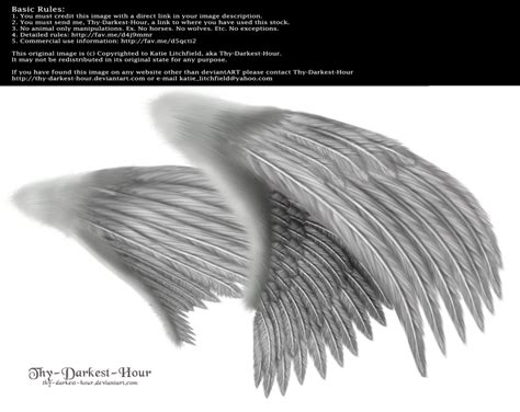 18 Angel Wings Side PSD Images - Feather Angel Wing ... Butterfly drawing art fairy, wings, blue and red butterfly wing, purple, blue png.
