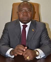 Career stats (appearances, goals, cards) and transfer history. Georges Elanga Obam, ministre de la Décentralisation et du ...