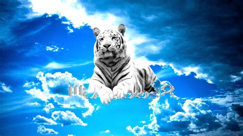 Cool White Tiger Wallpapers Top Free Cool White Tiger Backgrounds