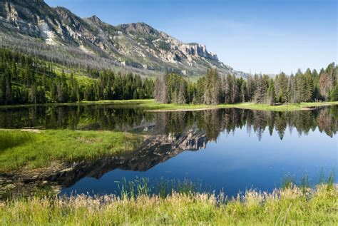 7 Best Places To Live In Wyoming Clover House Ts
