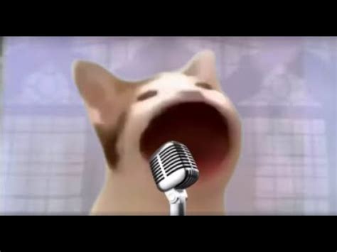 Pop Cat Sings Meme Song YouTube