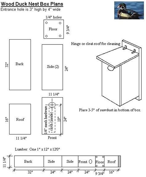 This duck house is actually a large duck house/ chicken coop. Wood Duck Nest Box Plans - Hubby and I have already built ...