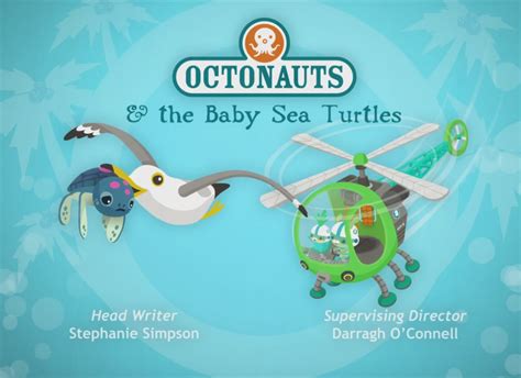 The Baby Sea Turtles Octonauts Wiki Fandom Powered By Wikia