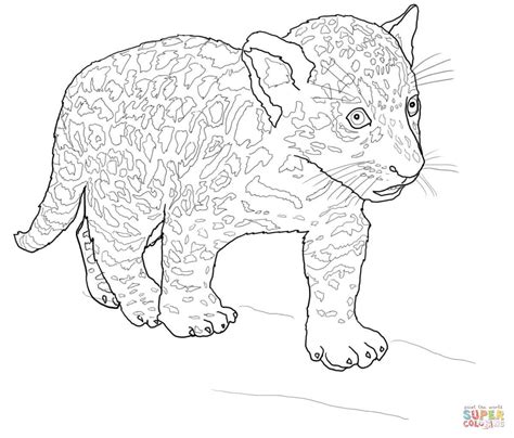 Ausmalbild Baby Jaguar Ausmalbilder Kostenlos Zum Ausdrucken