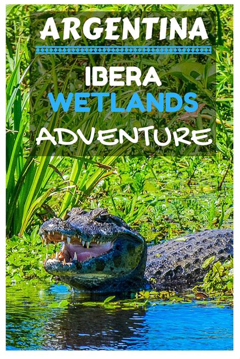 Our Ibera Wetlands Argentina Wildlife Adventure Finding Beyond
