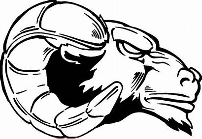 Ram Head Draw Rams Clipart Mascot Logos