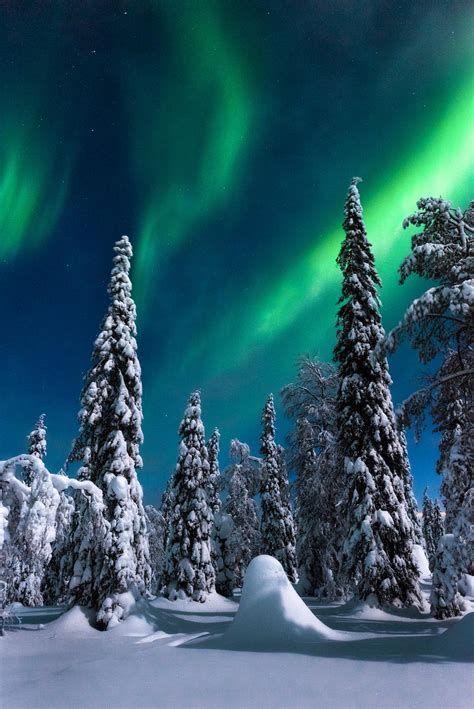 Northern Lights Above Riisitunturi National Park Finland Oc