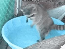 Happy Shower GIF Find Share On GIPHY
